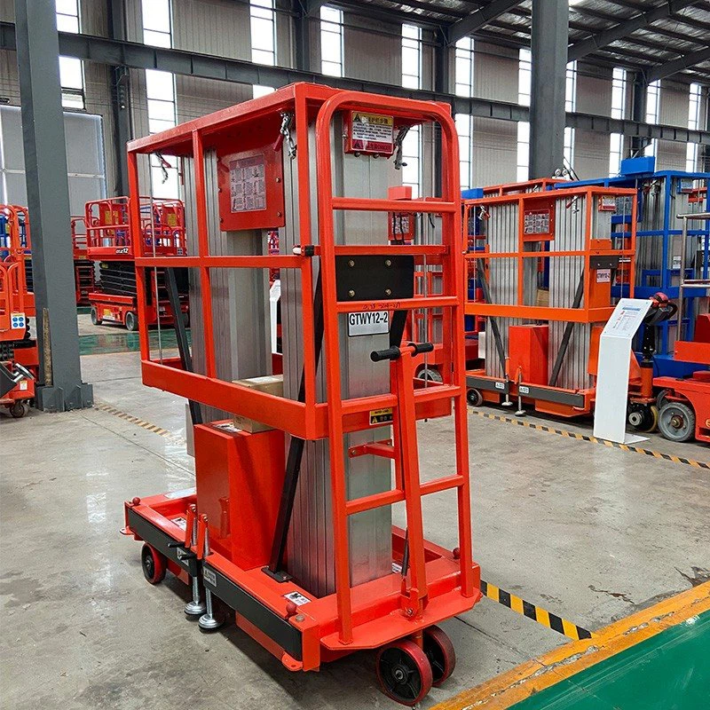 Aerial Work Lift Platform Double Mast suppliers