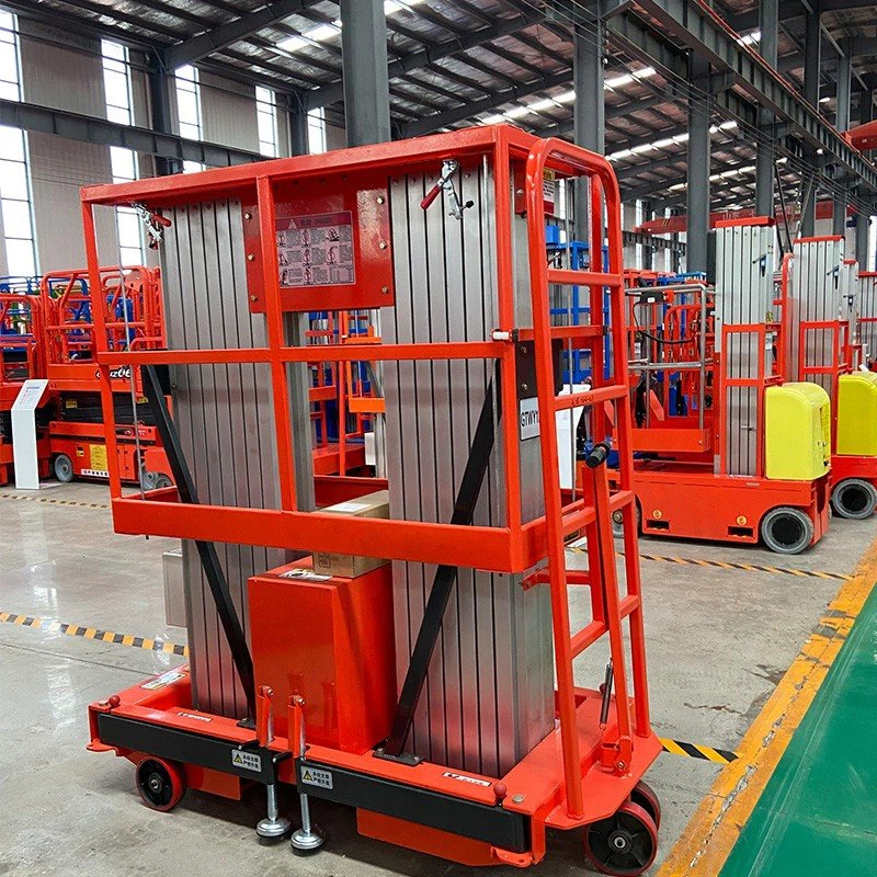 Aerial Work Lift Platform Double Mast factory